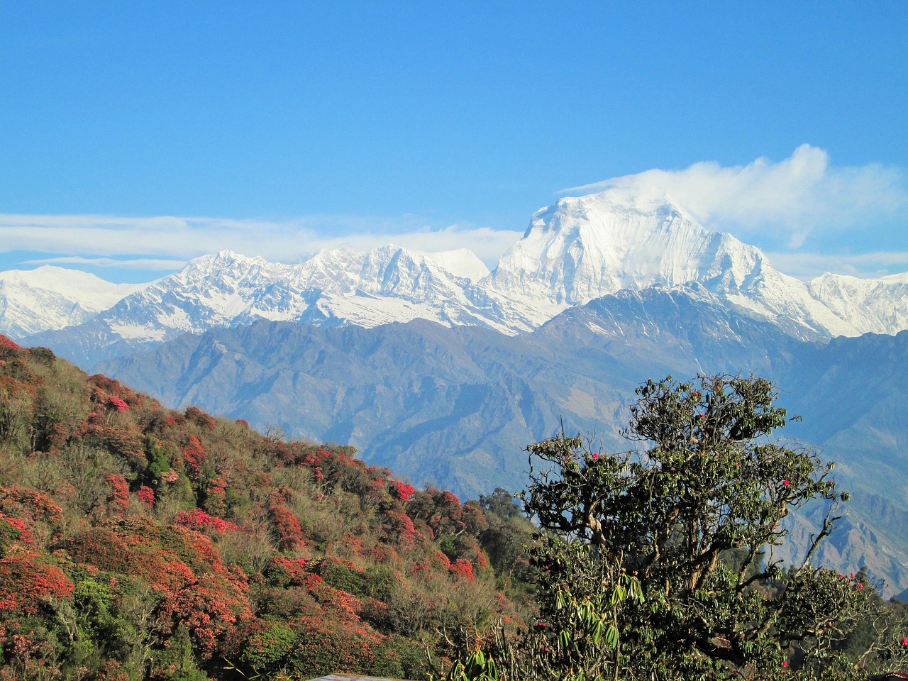 Kedarnath Char Dham Yatra